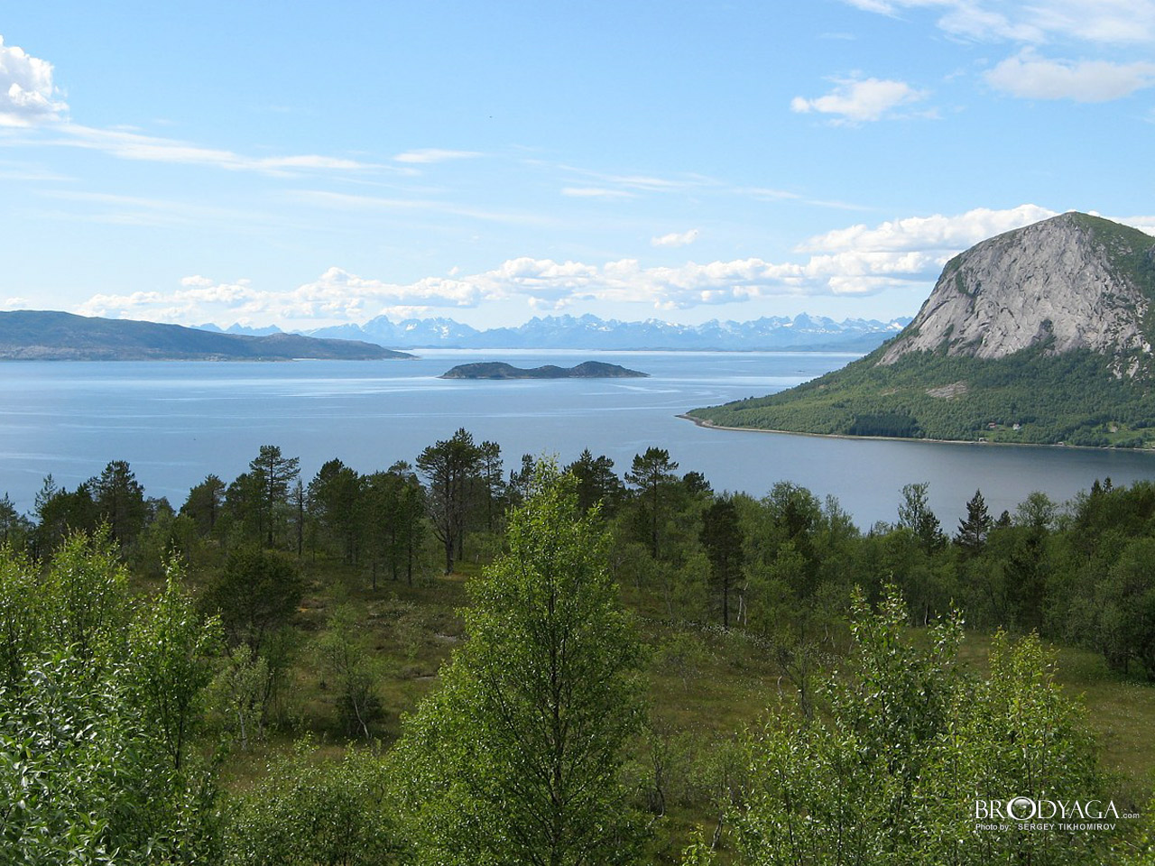 Skarberget